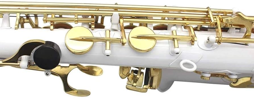 Amazon.com - ONOTEC Alto Saxophone - E-Flat Alto Saxophone